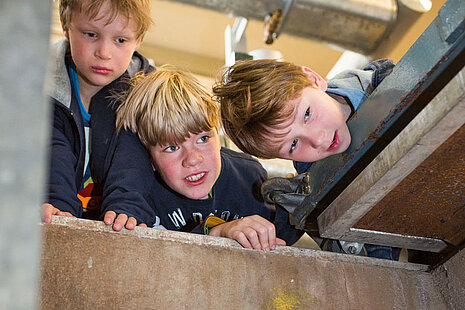 Eindruck vom Archiv der Visionen